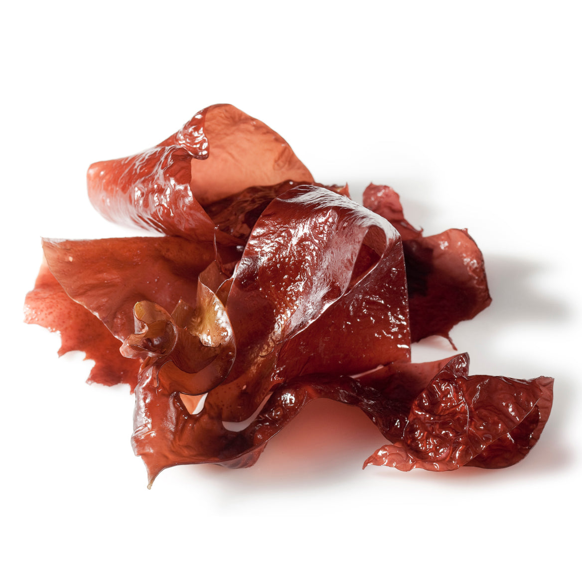DULSE DESHIDRATADA ECO