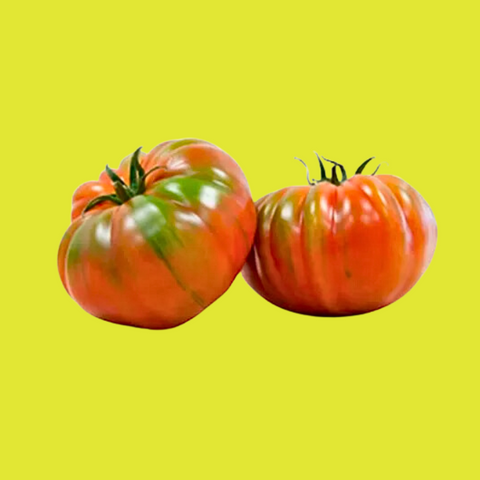 TOMATE MARMANDE ECO