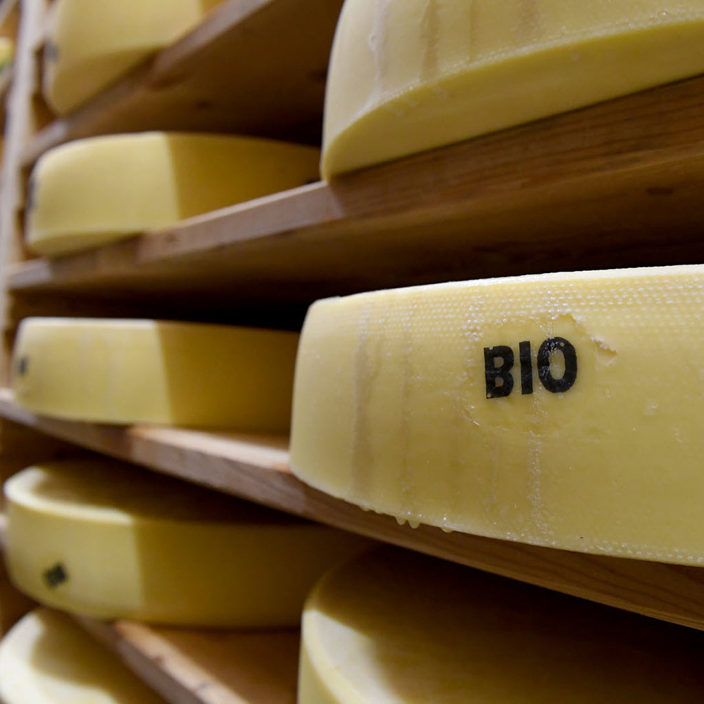 QUESO COMTÉ AOP ECOLÓGICO