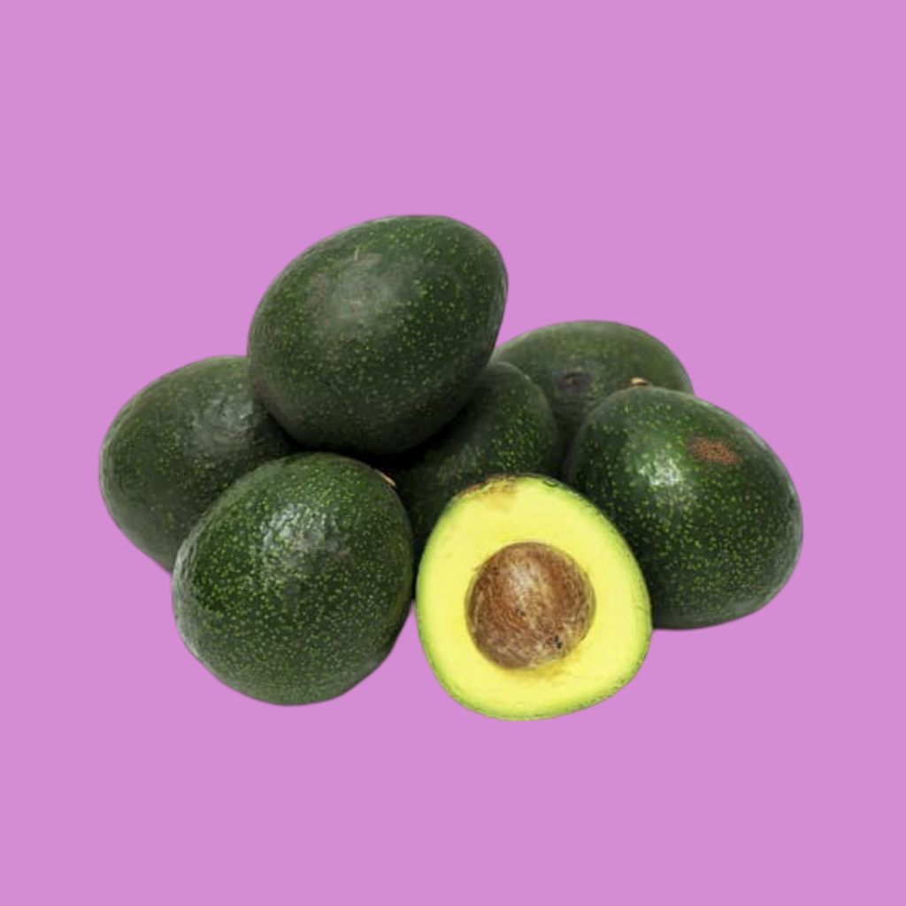 AGUACATE REED ECO