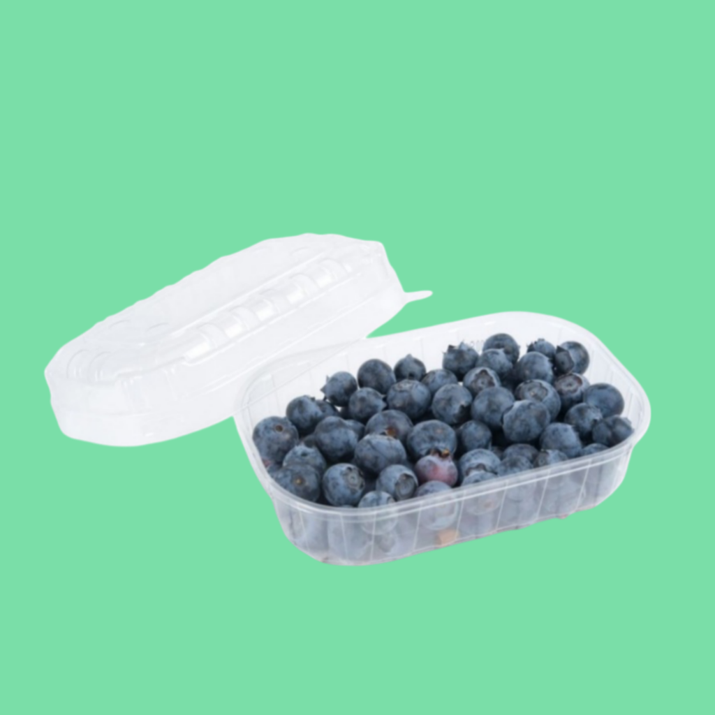 ARÁNDANOS AZULES ECO CAJA 125 G