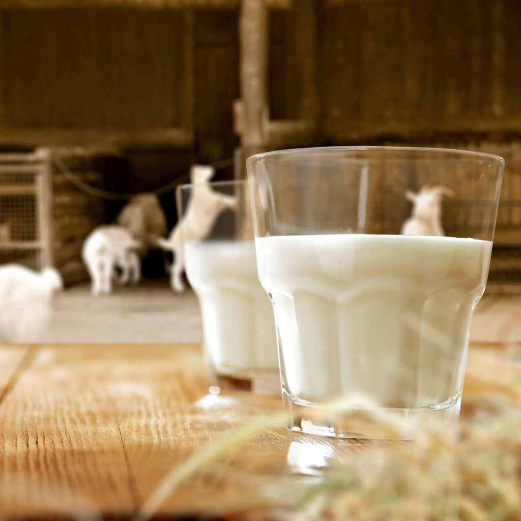 LECHE DE CABRA PASTEURIZADA ENTERA ECO