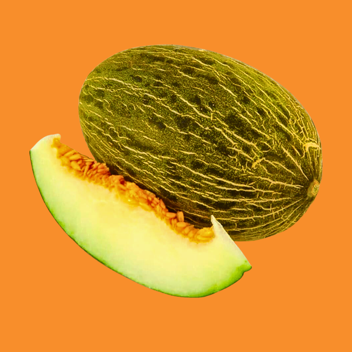 MELÓN PIEL DE SAPO ECO