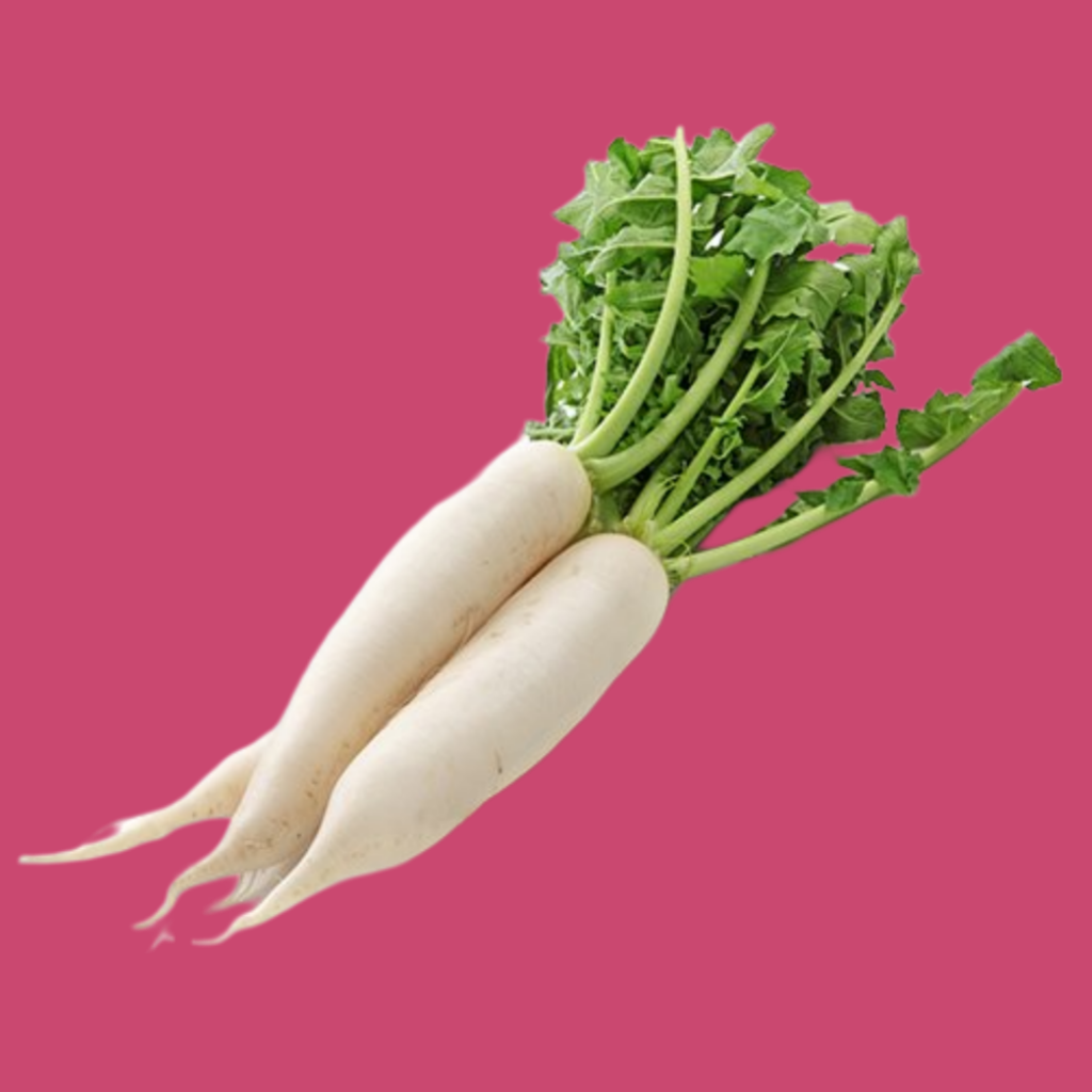 NABO DAIKON ECO MANOJO