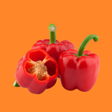 PIMIENTO ROJO CALIFORNIA ECO