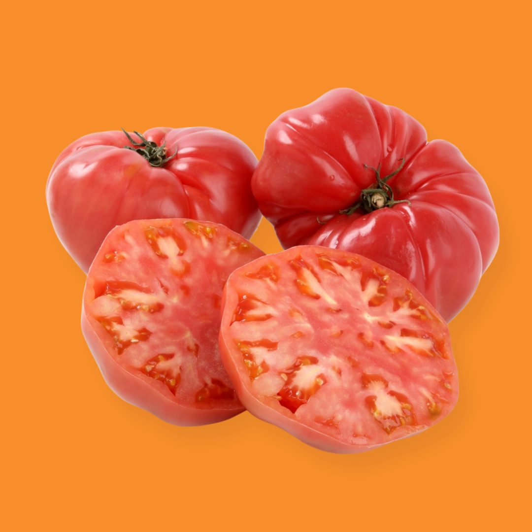 TOMATE ROSA ECO