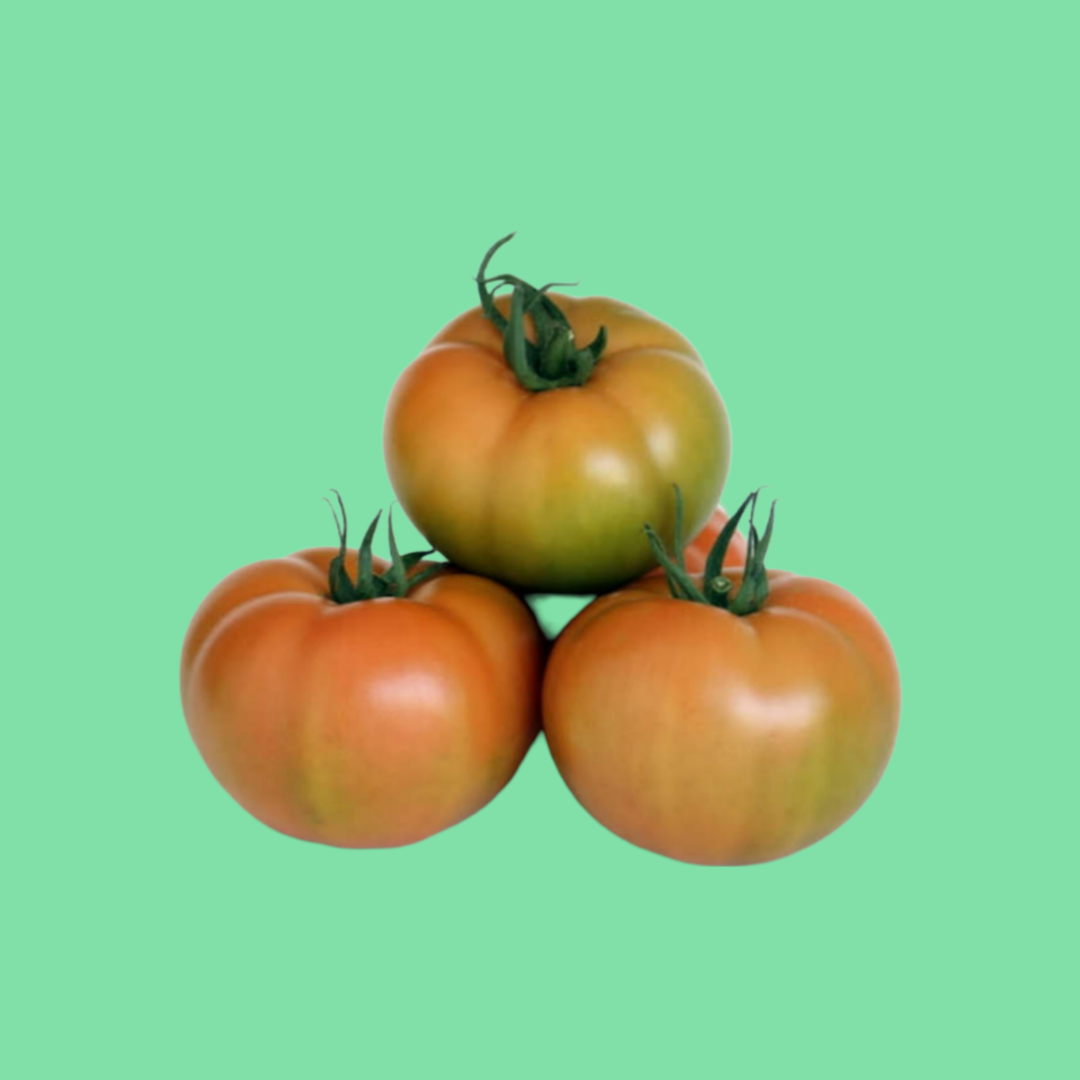 TOMATE PINTÓN ECO